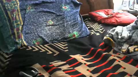 Willamyth online show from November 14, 8:05 am