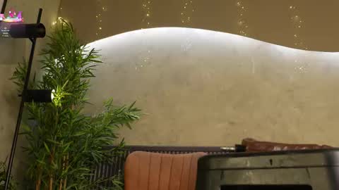 Ms Willow online show from January 9, 5:40 pm