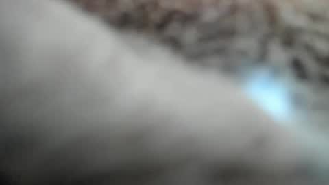 Snapshot of winkertan chatting on October 12, 6:54 pm winkertan online show from October 12, 6:54 pm