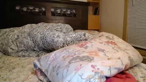 Annie online show from November 20, 7:40 am