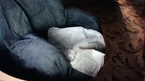 Jess online show from November 28, 3:36 am