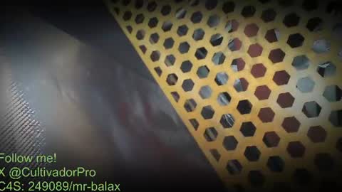 Mr Balax online show from August 7, 1:42 pm