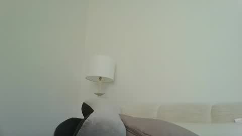 Harper  online show from December 14, 8:04 pm