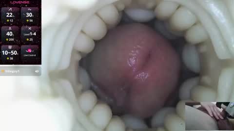 xoxowtf online show from February 9, 11:18 pm