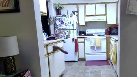 Strawberry Jane online show from April 4, 4:52 am