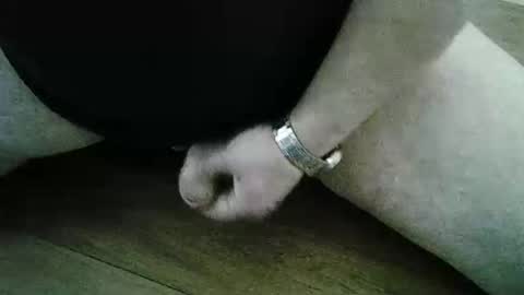 xyjjmop online show from March 2, 6:47 am