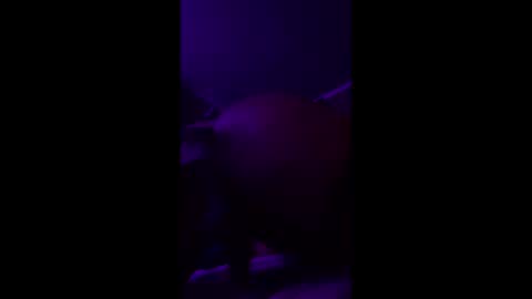 Ella Ts online show from April 9, 6:19 am