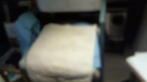 .     y e l l o w s n a k e s       . online show from February 3, 4:43 am