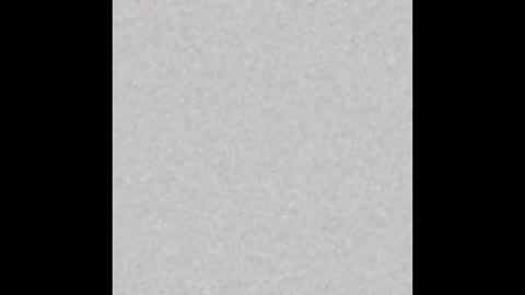 .     y e l l o w s n a k e s       . online show from November 16, 7:10 am