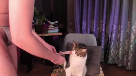 Max online show from February 13, 4:49 am