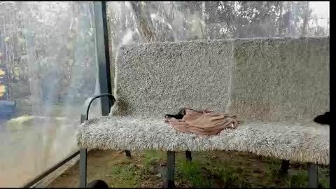 private on 18 per minute start private 500 tokensOnlyfans  online show from November 17, 9:56 am