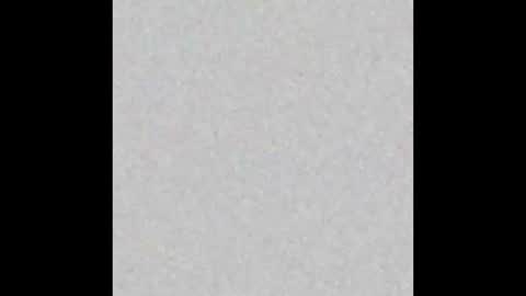 AngeLina online show from February 8, 12:30 pm