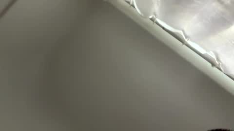 yournumbernine online show from January 7, 2:38 am