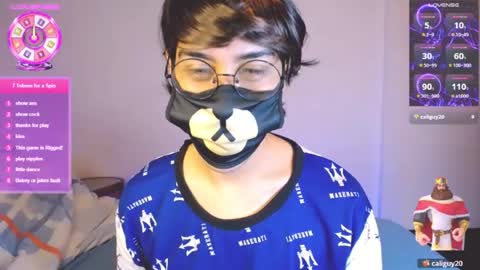 the puppy boy online show from July 4, 3:43 am