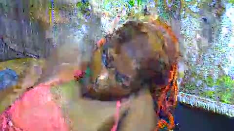 zarinamarlin online show from April 3, 7:15 am