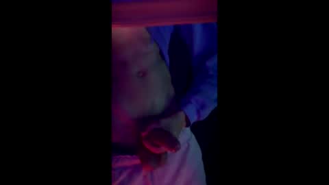 zay6159 online show from May 7, 2:29 am