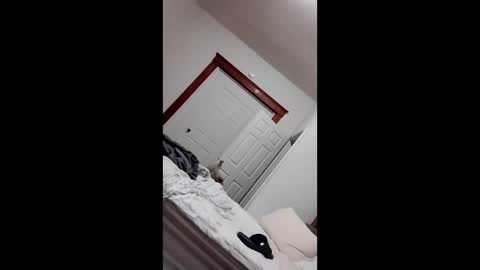 zealone online show from April 7, 6:04 am