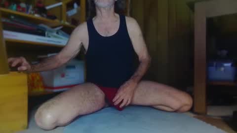 zed_alpha online show from April 19, 10:49 am