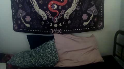 Zelda online show from February 9, 4:46 am