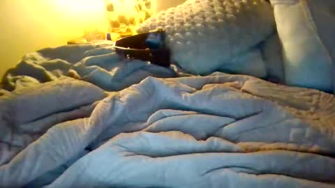 9.3 inch online show from December 17, 12:50 am