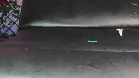 zhirleyada online show from November 19, 11:20 am